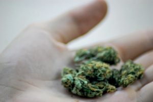 Marijuana drug possession laws